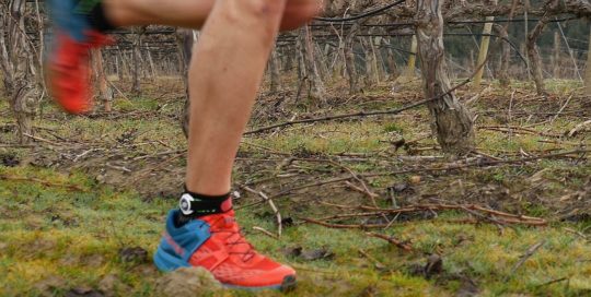 video gara trail running